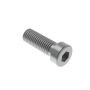 Hex socket low head cap screw M12x30